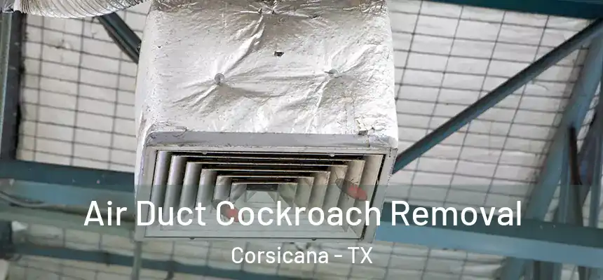  Air Duct Cockroach Removal Corsicana - TX