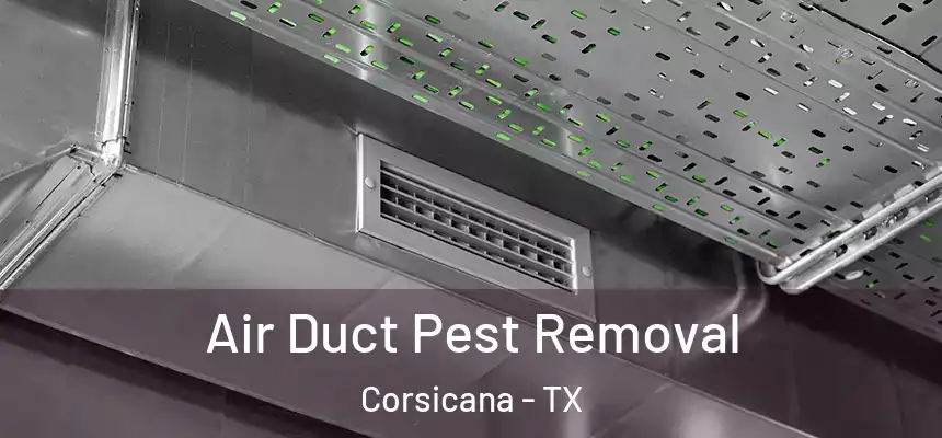 Air Duct Pest Removal Corsicana - TX