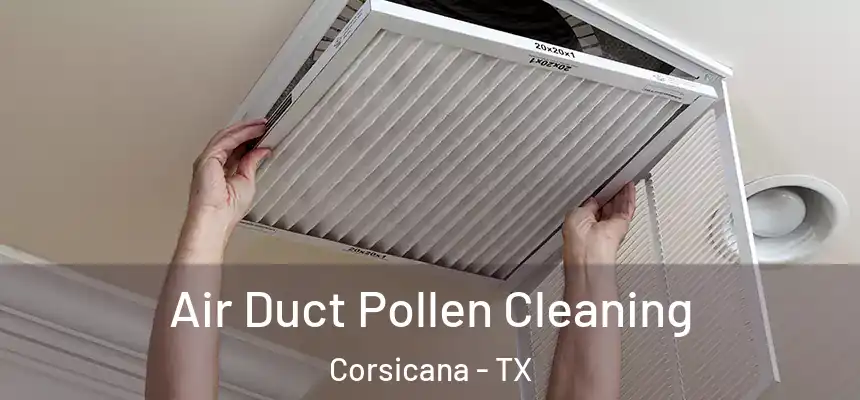  Air Duct Pollen Cleaning Corsicana - TX