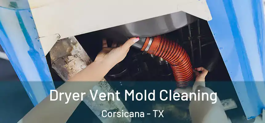  Dryer Vent Mold Cleaning Corsicana - TX
