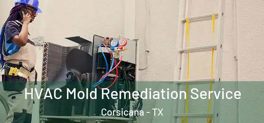HVAC Mold Remediation Service Corsicana - TX