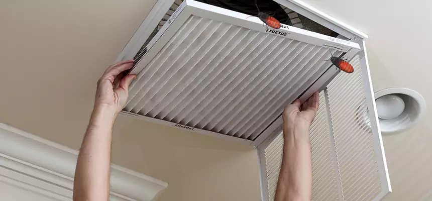 Preventive Cockroach-Proofing for Ducts in Corsicana