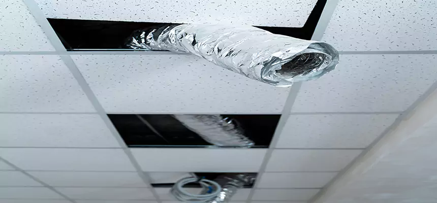 Affordable HVAC Sanitizing After Pest Removal in Corsicana