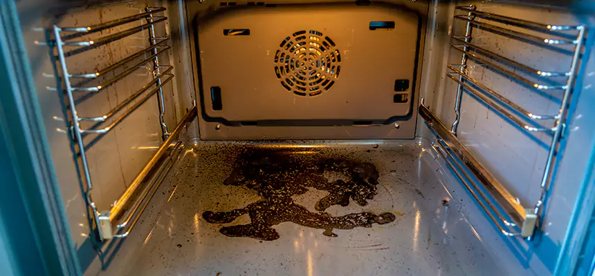 Our Dryer Vent Mold Cleaning Services in Corsicana, TX