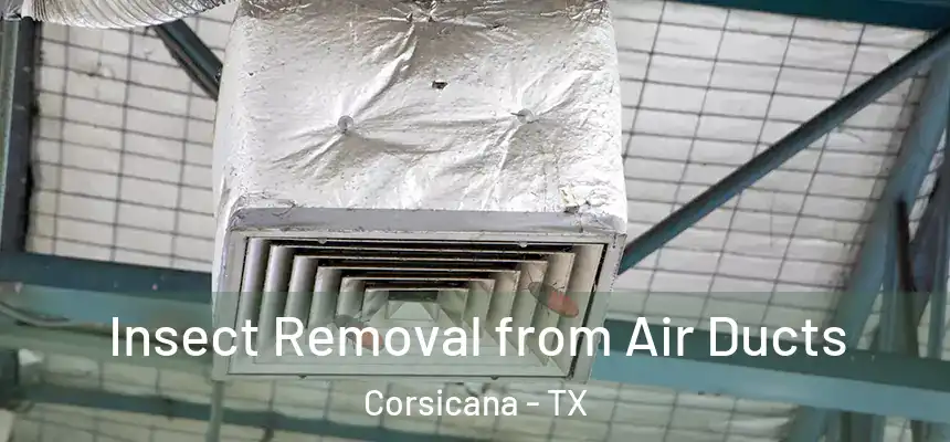  Insect Removal from Air Ducts Corsicana - TX