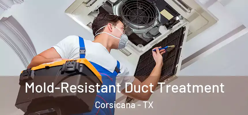  Mold-Resistant Duct Treatment Corsicana - TX