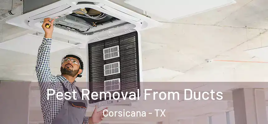  Pest Removal From Ducts Corsicana - TX
