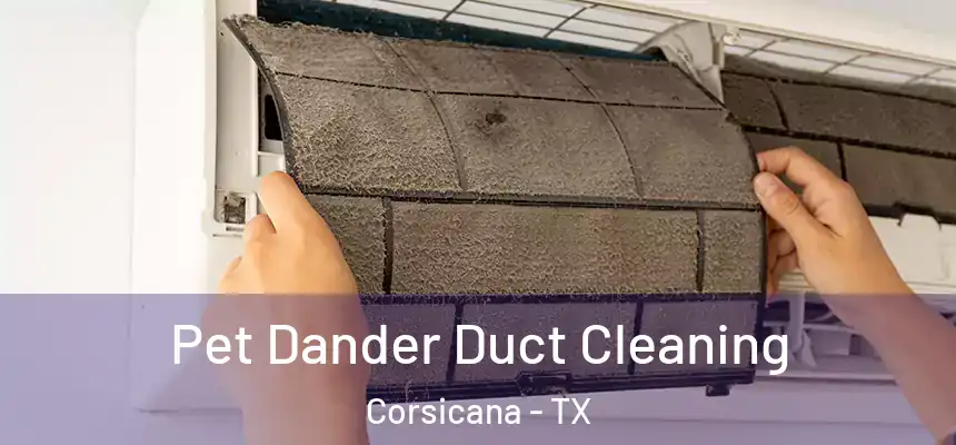 Pet Dander Duct Cleaning Corsicana - TX
