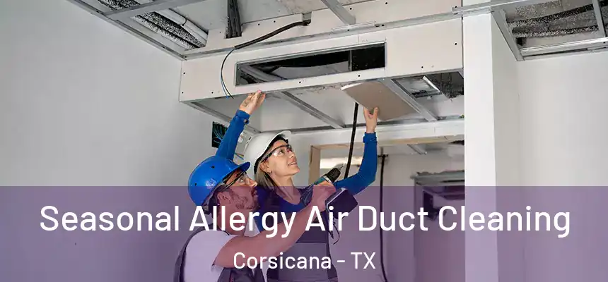  Seasonal Allergy Air Duct Cleaning Corsicana - TX