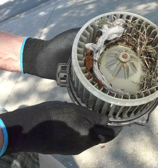 About Air Duct Rat Removal in Corsicana, TX