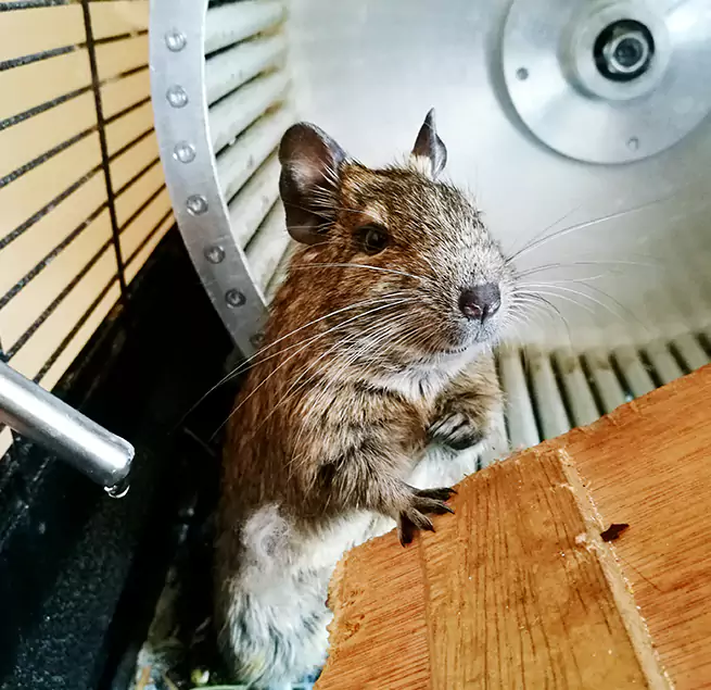 Why Homeowners & Businesses Trust Us Corsicana, TX?