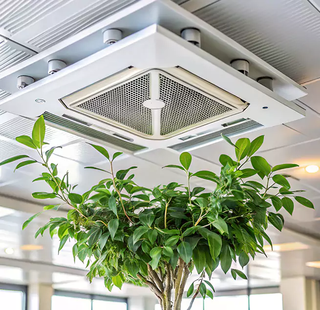 Why Homeowners & Businesses Trust Us in Corsicana, TX?